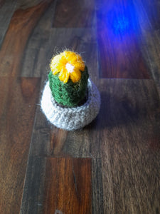 Handmade Knitted Cactus Showpiece