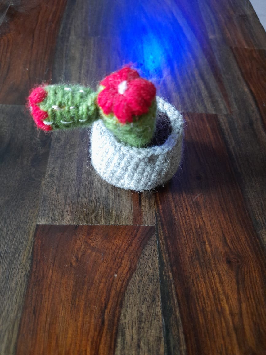 Handmade Knitted Cactus Showpiece